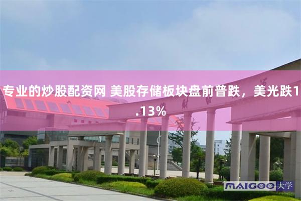 专业的炒股配资网 美股存储板块盘前普跌，美光跌1.13%