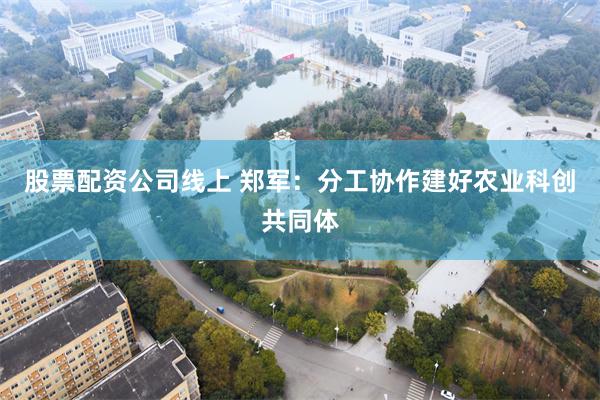 股票配资公司线上 郑军：分工协作建好农业科创共同体