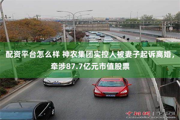 配资平台怎么样 神农集团实控人被妻子起诉离婚，牵涉87.7亿元市值股票