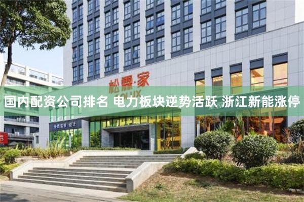 国内配资公司排名 电力板块逆势活跃 浙江新能涨停
