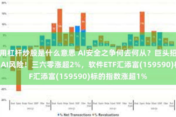 用杠杆炒股是什么意思 AI安全之争何去何从？巨头招股书用80页阐述AI风险！三六零涨超2%，软件ETF汇添富(159590)标的指数涨超1%