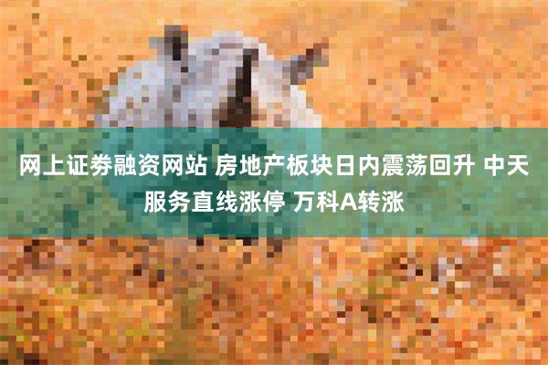 网上证劵融资网站 房地产板块日内震荡回升 中天服务直线涨停 万科A转涨