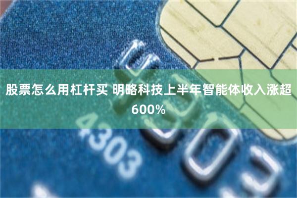 股票怎么用杠杆买 明略科技上半年智能体收入涨超600%