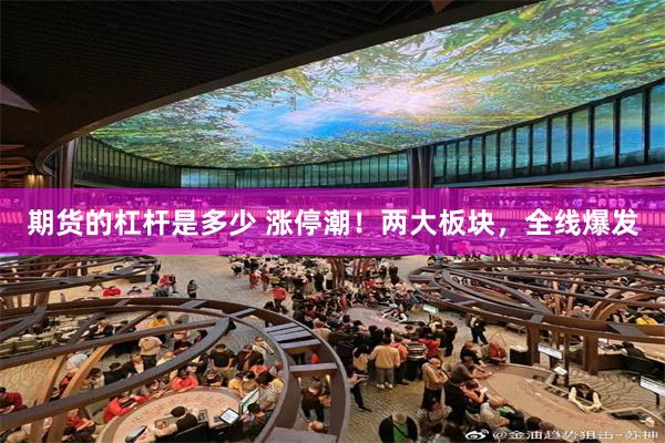 期货的杠杆是多少 涨停潮！两大板块，全线爆发