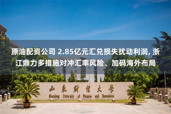 原油配资公司 2.85亿元汇兑损失扰动利润, 浙江鼎力多措施对冲汇率风险、加码海外布局