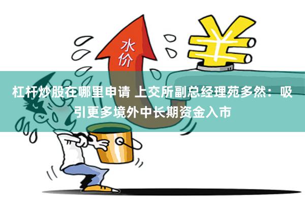 杠杆炒股在哪里申请 上交所副总经理苑多然:吸引更多境外中长期资金入市