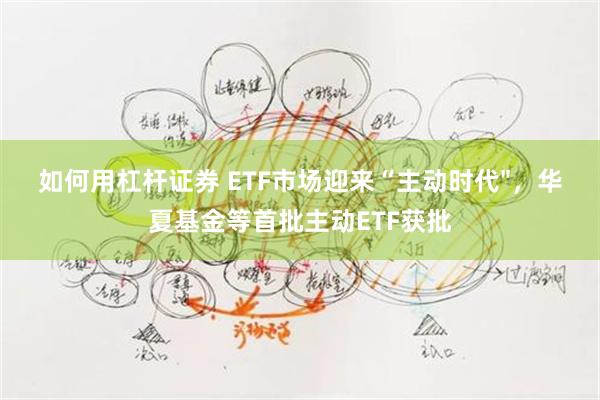 如何用杠杆证券 ETF市场迎来“主动时代"，华夏基金等首批主动ETF获批