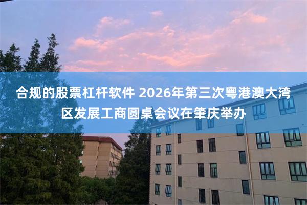 合规的股票杠杆软件 2026年第三次粤港澳大湾区发展工商圆桌会议在肇庆举办
